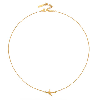 The Birds of Tawakkul Collection
