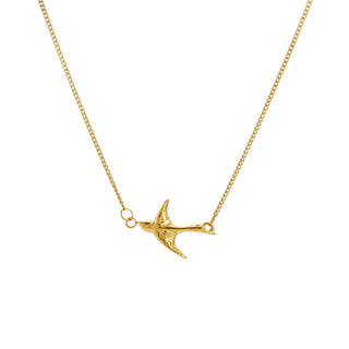 The Birds of Tawakkul Collection