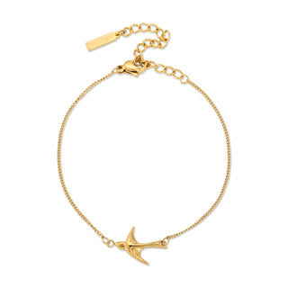 The Birds of Tawakkul - Tirmidhi 2344 - Bracelet